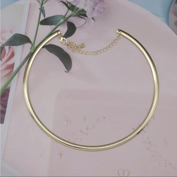 Niche 2025 Elegant Smooth Curved Choker Necklace - Short Clavicle Chain - Picture 6 of 7